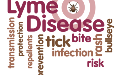 Tick-Borne Diseases and Your Pet