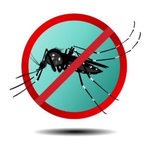 Anti mosquito sign ,flat icon, vector