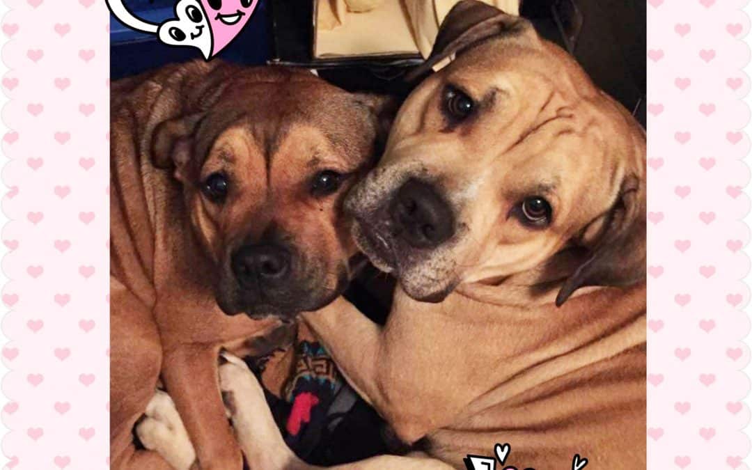 Nikki and Chino