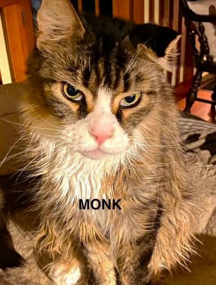 MONK