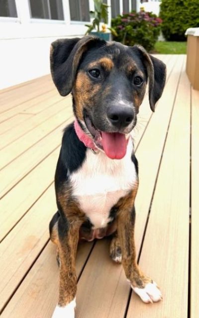 Little Lady & Lucky Girl